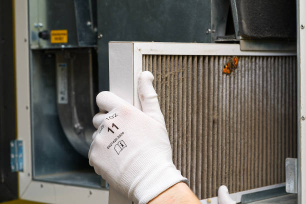Best HVAC Duct Inspection Services  in Chaffee, MO